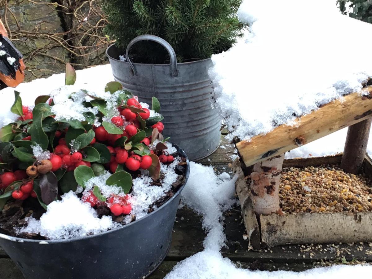B&B Alie Kruse-Kolk Art & Design Overdinkel Bagian luar foto